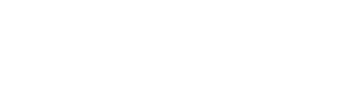 Ronaldo Estima